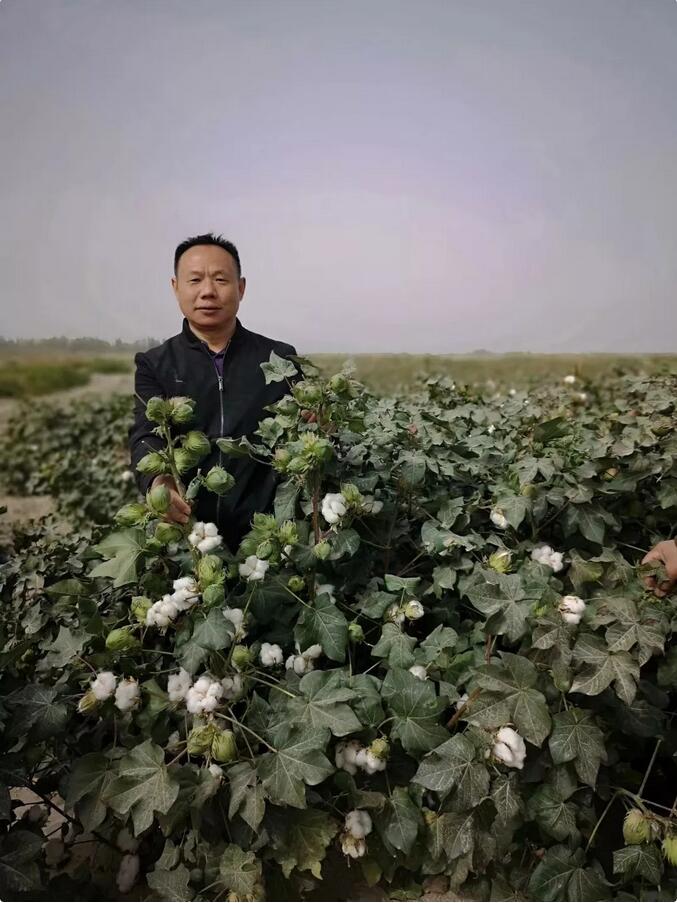 QQ截图20190205113553.jpg