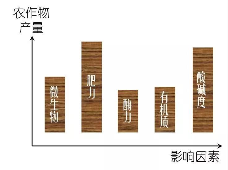1.jpg 1.jpg