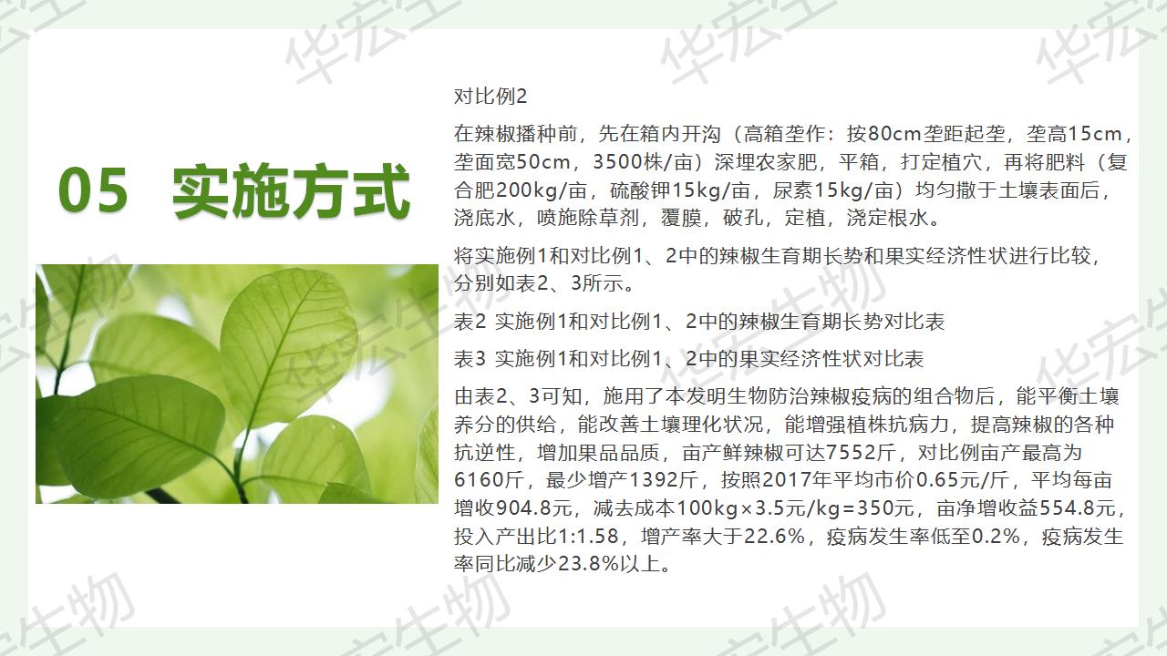 一种生物防治辣椒疫病的组合物及制备方法和应用_22.jpg