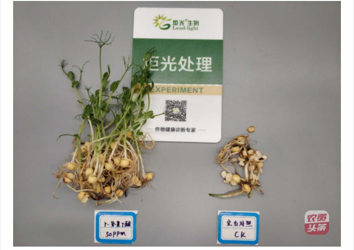 微信图片_20250510203623.png